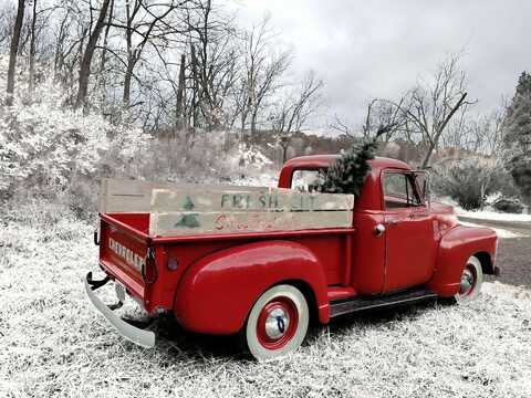 TruckSnowFall (1).jpg