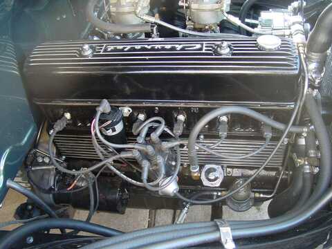 DSC00584.JPG
